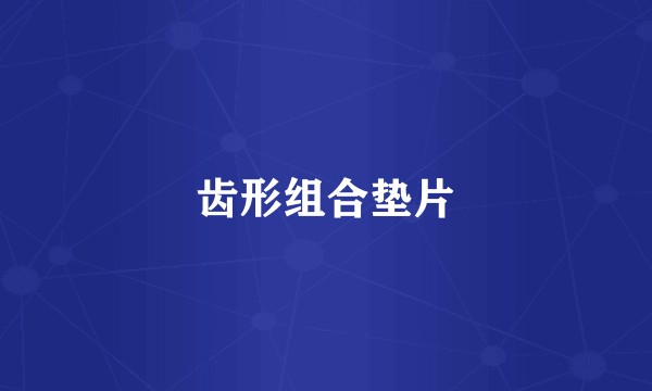齿形组合垫片