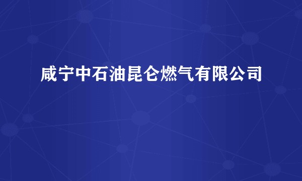 咸宁中石油昆仑燃气有限公司