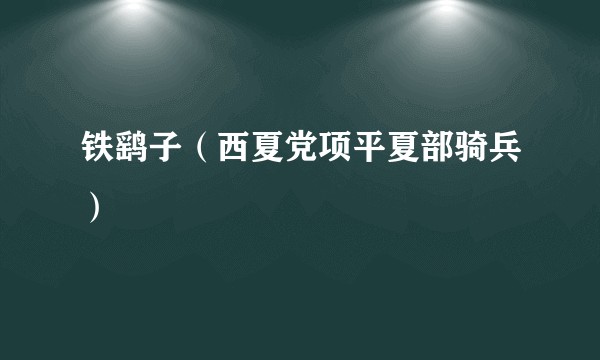 铁鹞子（西夏党项平夏部骑兵）