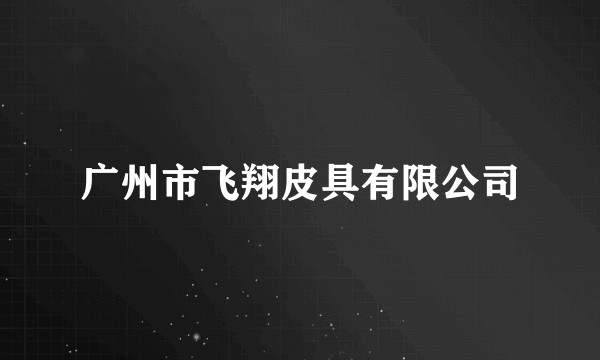 广州市飞翔皮具有限公司