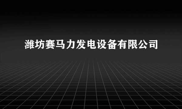 潍坊赛马力发电设备有限公司