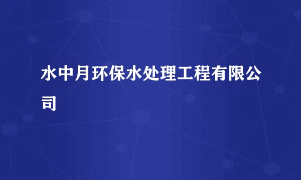 水中月环保水处理工程有限公司