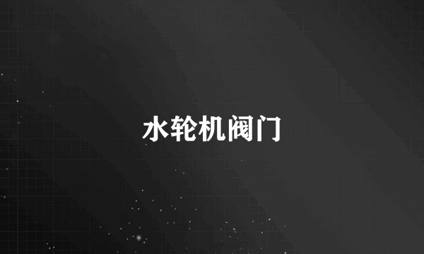 水轮机阀门