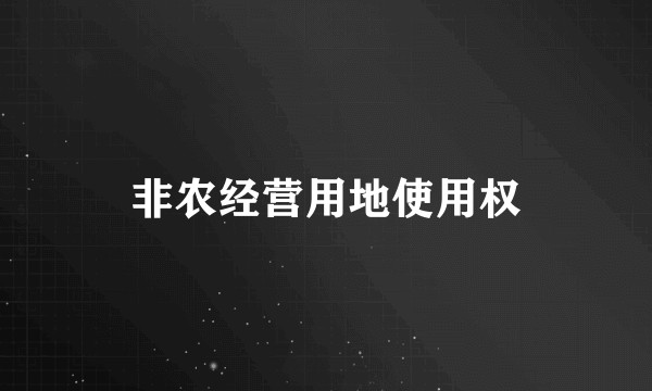 非农经营用地使用权