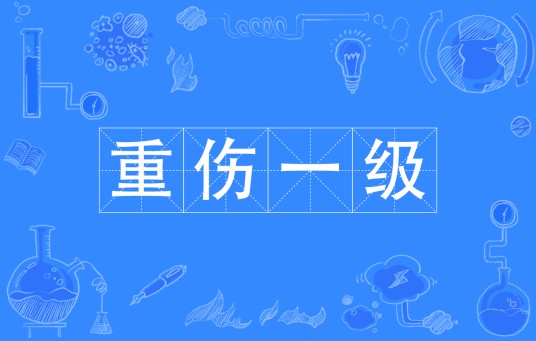 重伤一级
