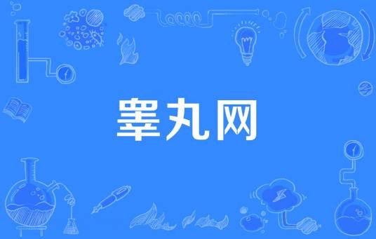 睾丸网