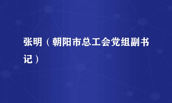 张明（朝阳市总工会党组副书记）
