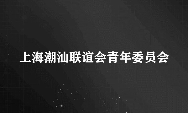 上海潮汕联谊会青年委员会