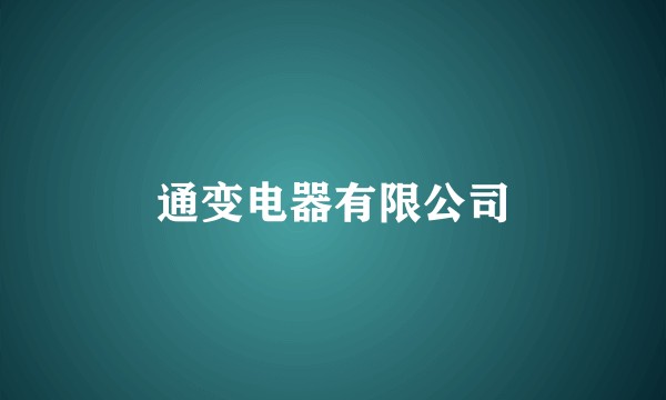 通变电器有限公司