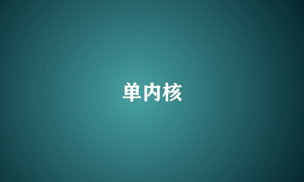 单内核