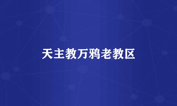 天主教万鸦老教区
