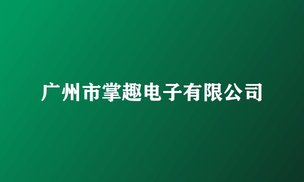 广州市掌趣电子有限公司