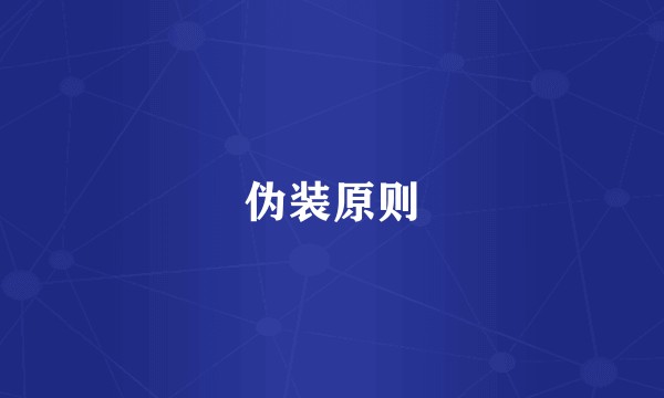 伪装原则