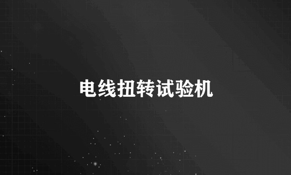 电线扭转试验机