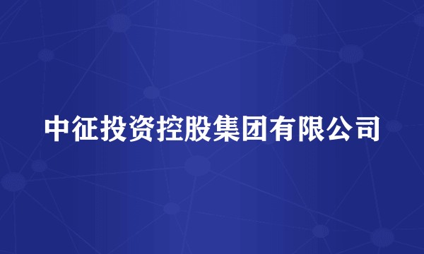 中征投资控股集团有限公司
