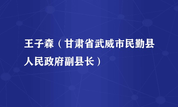 王子森(甘肃省武威市民勤县人民政府副县长)