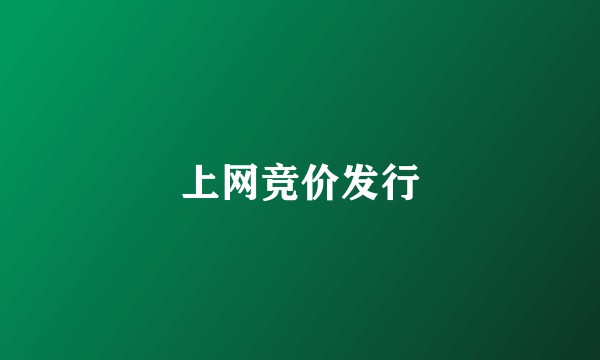 上网竞价发行