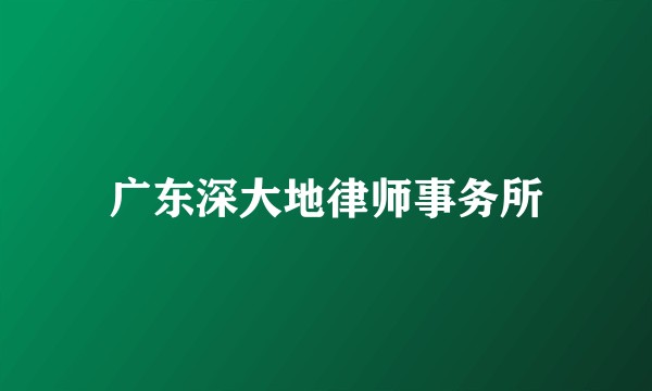 广东深大地律师事务所