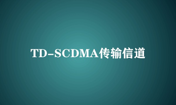 TD-SCDMA传输信道