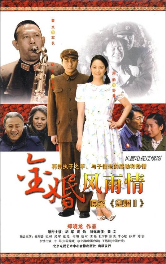 金婚风雨情(2010年胡军、周韵主演的电视剧)