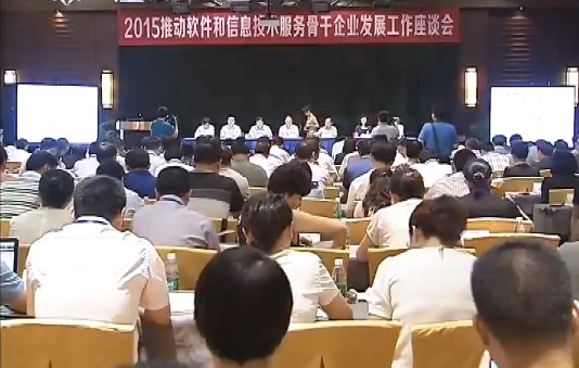 软件与信息技术服务业