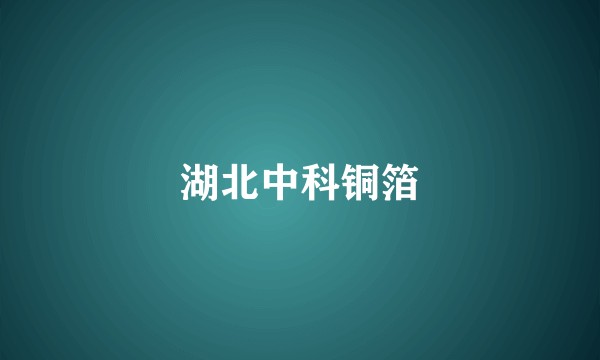 湖北中科铜箔
