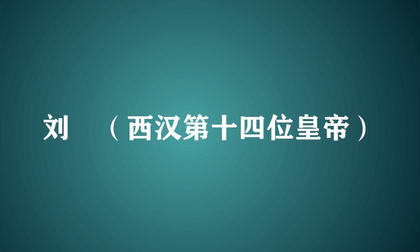 刘衎(西汉第十四位皇帝)