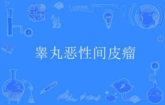 睾丸恶性间皮瘤