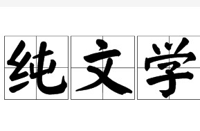 纯文学（词语释义）