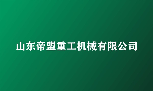山东帝盟重工机械有限公司