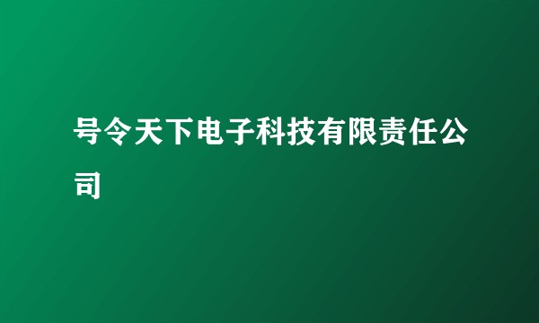 号令天下电子科技有限责任公司
