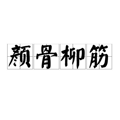 颜骨柳筋