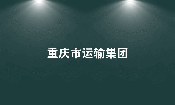 重庆市运输集团