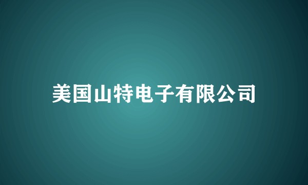 美国山特电子有限公司