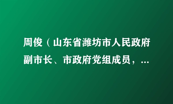 周俊(山东省潍坊市人民政府副市长、市政府党组成员,奎文区委书记、党校校长)