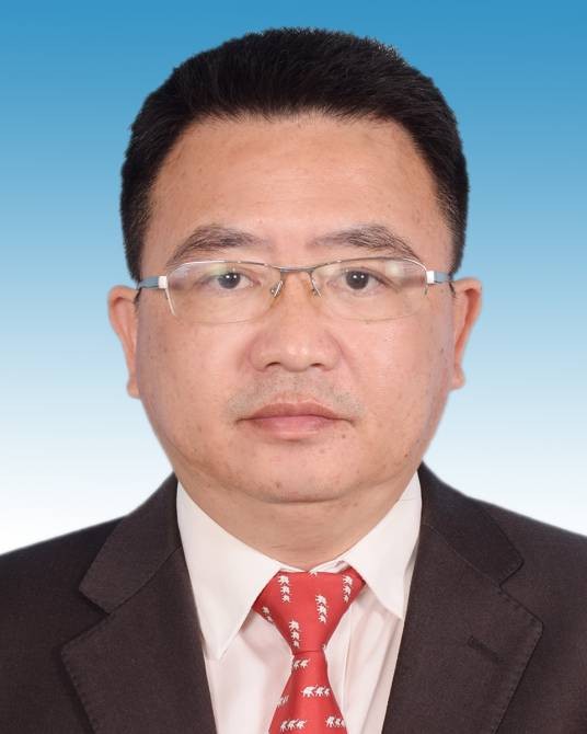 杨桢(广西梧州市人民政府副市长、党组成员,粤桂合作特别试验区(梧州)党工委书记)