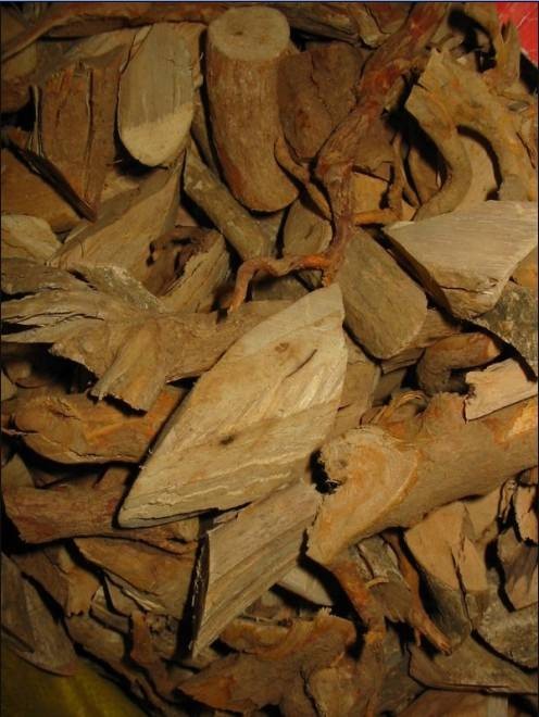 黄根(中药材)