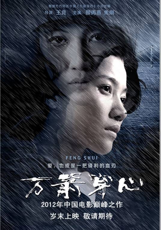 万箭穿心（2012年王竞执导的电影）