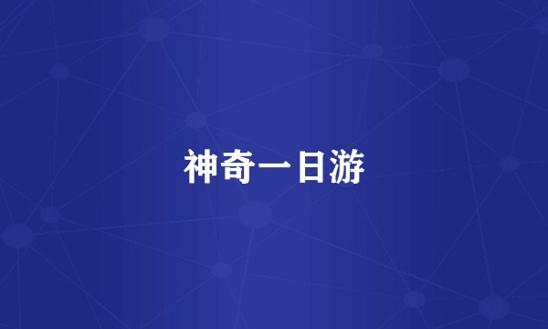 神奇一日游