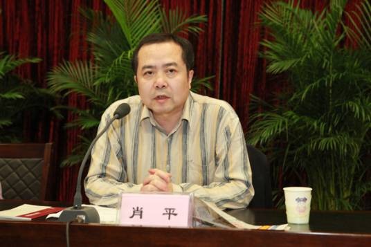肖平（海南测绘地理信息局党组书记、局长）