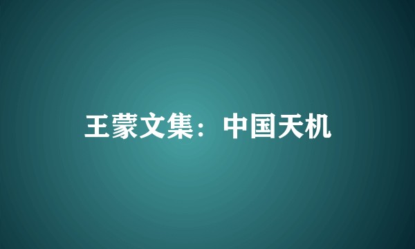 王蒙文集：中国天机