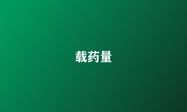 载药量
