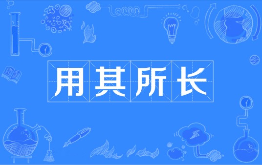 用其所长