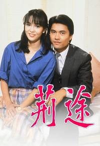 荆途（1982年香港TVB电视剧）