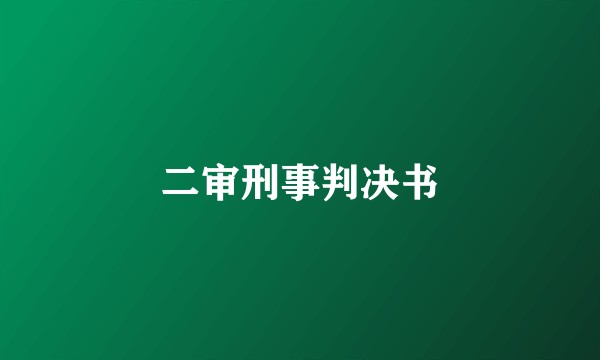 二审刑事判决书