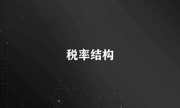 税率结构