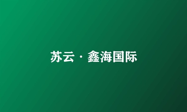 苏云·鑫海国际