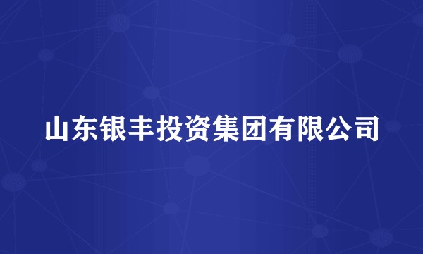 山东银丰投资集团有限公司