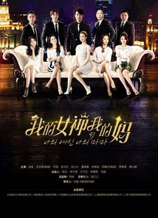 我的女神我的妈(2017年刘国彤执导的电视剧)