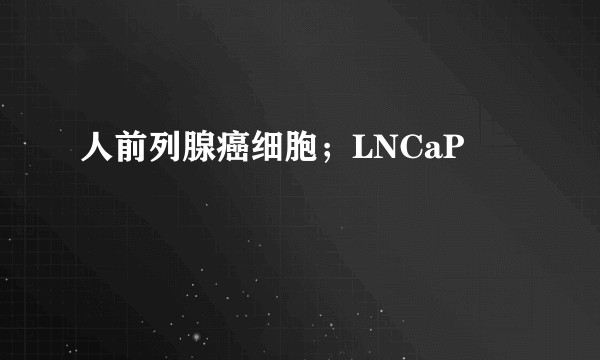 人前列腺癌细胞；LNCaP